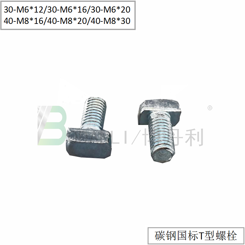 博丹利 國標 T型螺栓 銀白